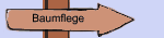 Baumflege