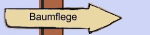 Baumflege