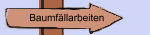 Baumfällarbeiten
